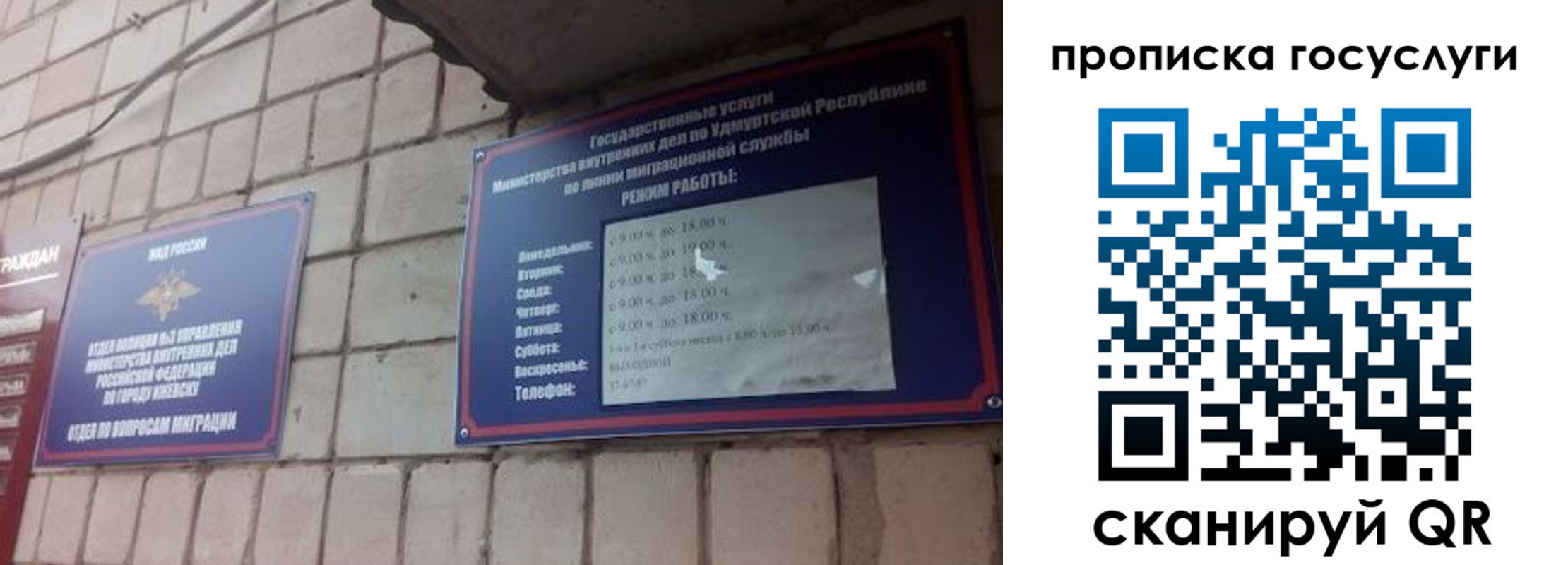 временная регистрация поиск в Коле